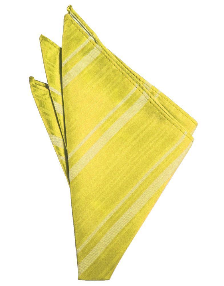 Cardi Sunbeam Striped Satin Pocket Square